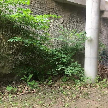 Apartmán Kralova Vyhlidka